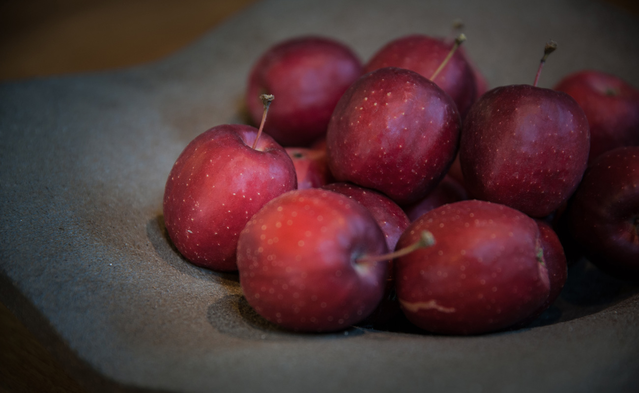 Photo by 近藤晶子