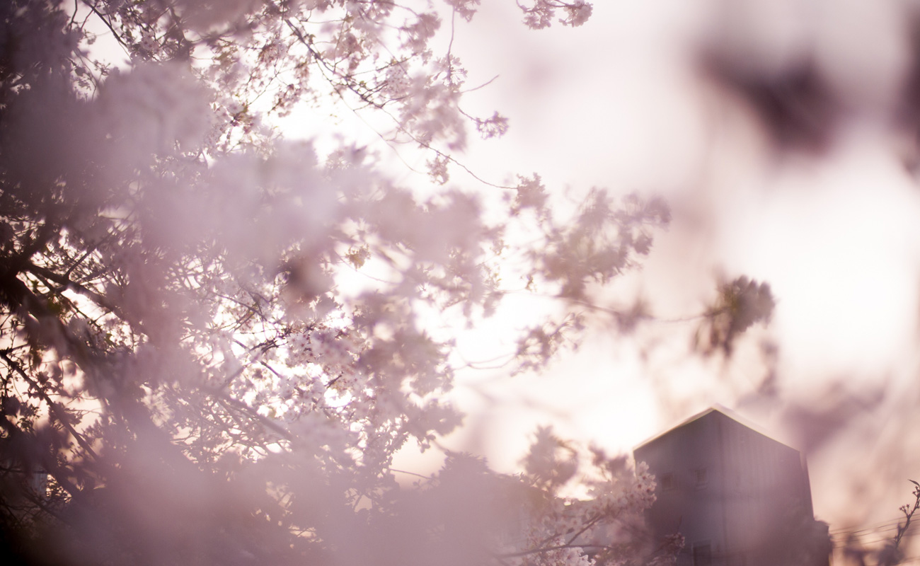 Photo by 近藤晶子